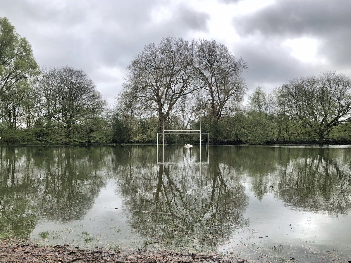 Never seen Marble Hill Park quite like this before with so many new ponds formed due to the Thames high tide. @EHMarbleHill @MarbleHilFriend @TwickenhamNub @DiscoverTwick @bbcweather @itvweather @itvlondon #thamesflood