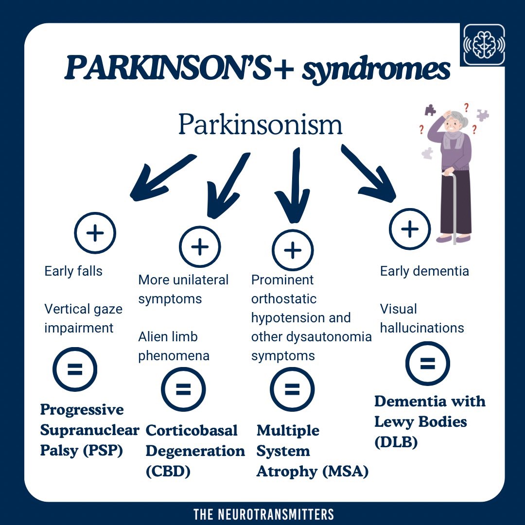 Parkinson’s plus syndromes are similar to #ParkinsonsDisease including the TRAP symptoms but with additional findings on history or examination. Here are some key features on how to identify these four syndromes⤵️