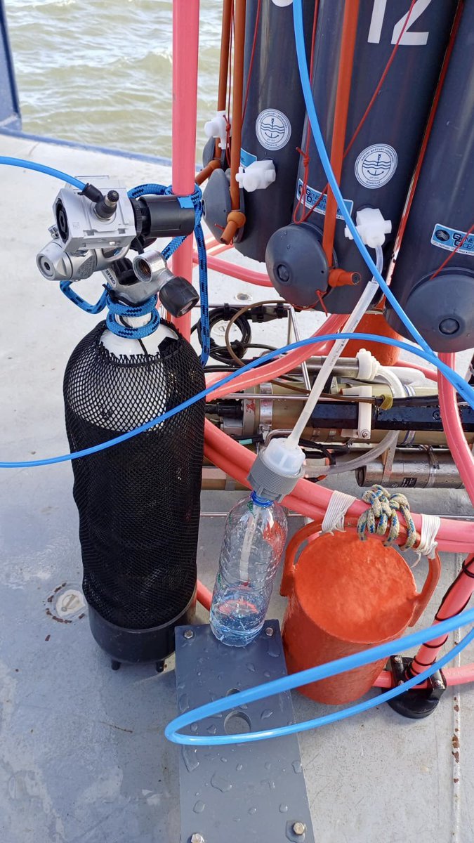 Dr Lars-Eric Heimbürger-Boavida tweet media