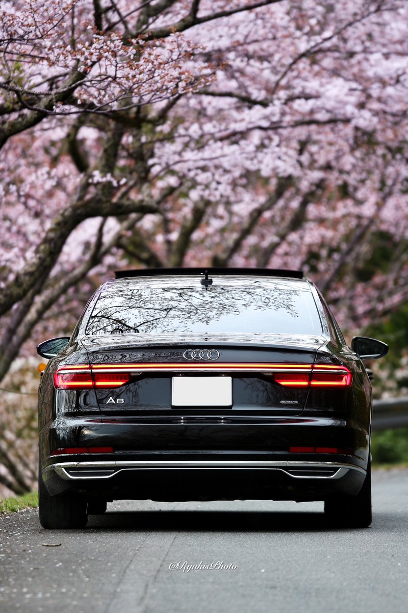 A8🚗×吉野桜🌸