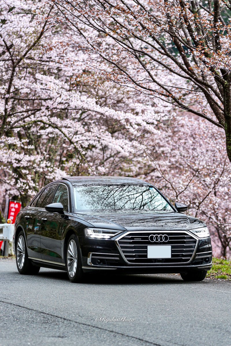 ryuki_suwa's tweet photo. A8🚗×吉野桜🌸 https://t.co/2uJPh64YSU