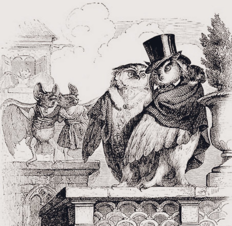 In their previous lives, poets were bats, and thinkers were owls. 

~Michael Bassey Johnson 
art by J. J. Grandville #bookologythursday