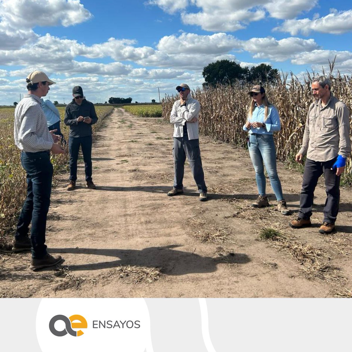 Lares S.R.L. (@laressrl1) on Twitter photo 🇦🇷🌱🇧🇷 Visita del equipo de breeding y desarrollo de producto de <a href="/bioceressemilla/">Bioceres Semillas</a> Argentina y Brasil y TMG Brasil.
✅En el #CampoExperimentalLares recorrimos ensayos de #soja e intercambiamos perspectivas sobre el sistema de producción en la región.
#EnsayosLares 🙌 🇦🇷🌱🇧🇷 Visita del equipo de breeding y desarrollo de producto de <a href="/bioceressemilla/">Bioceres Semillas</a> Argentina y Brasil y TMG Brasil.
✅En el #CampoExperimentalLares recorrimos ensayos de #soja e intercambiamos perspectivas sobre el sistema de producción en la región.
#EnsayosLares 🙌