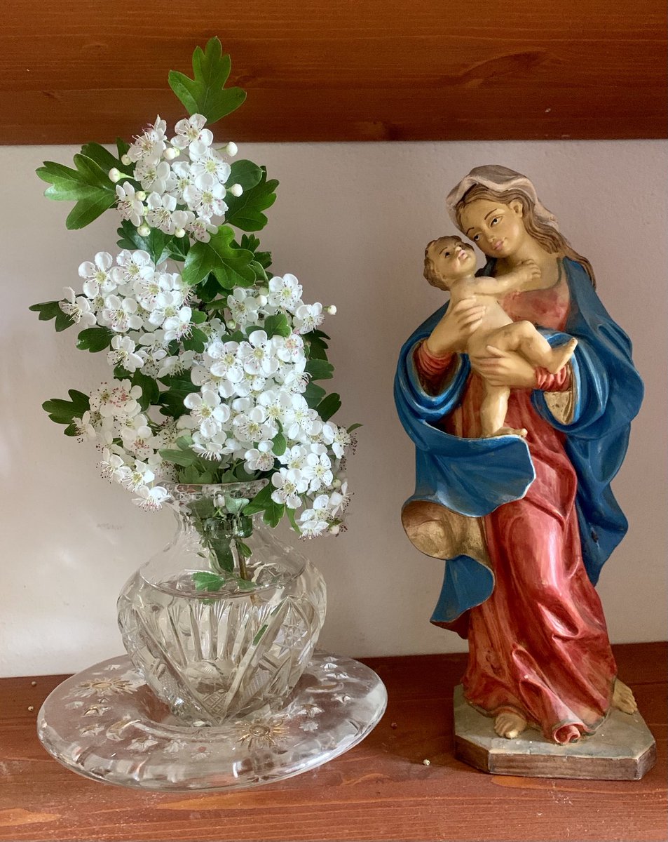 Ave Maria… (Il candore e il profumo lieve del biancospino mi ricordano sempre la mia nonna adorata, che tanto lo amava).