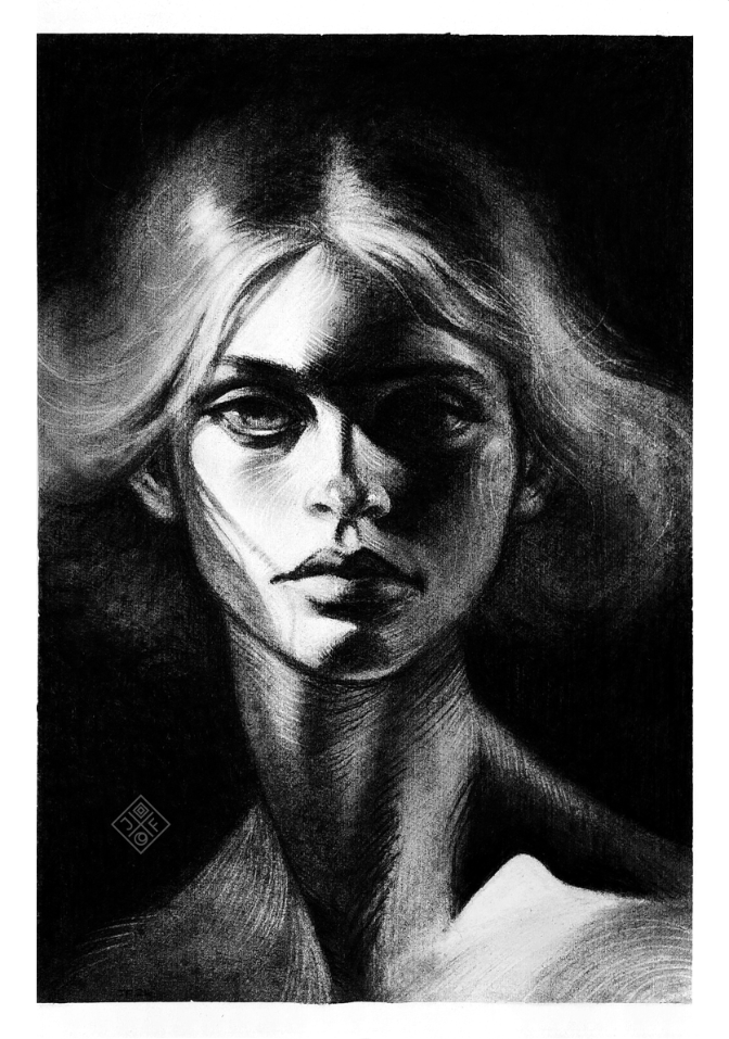Portrait in Vine Charcoal
on cotton paper

42cm x 59.4cm

#illustration #charcoalart #portrait