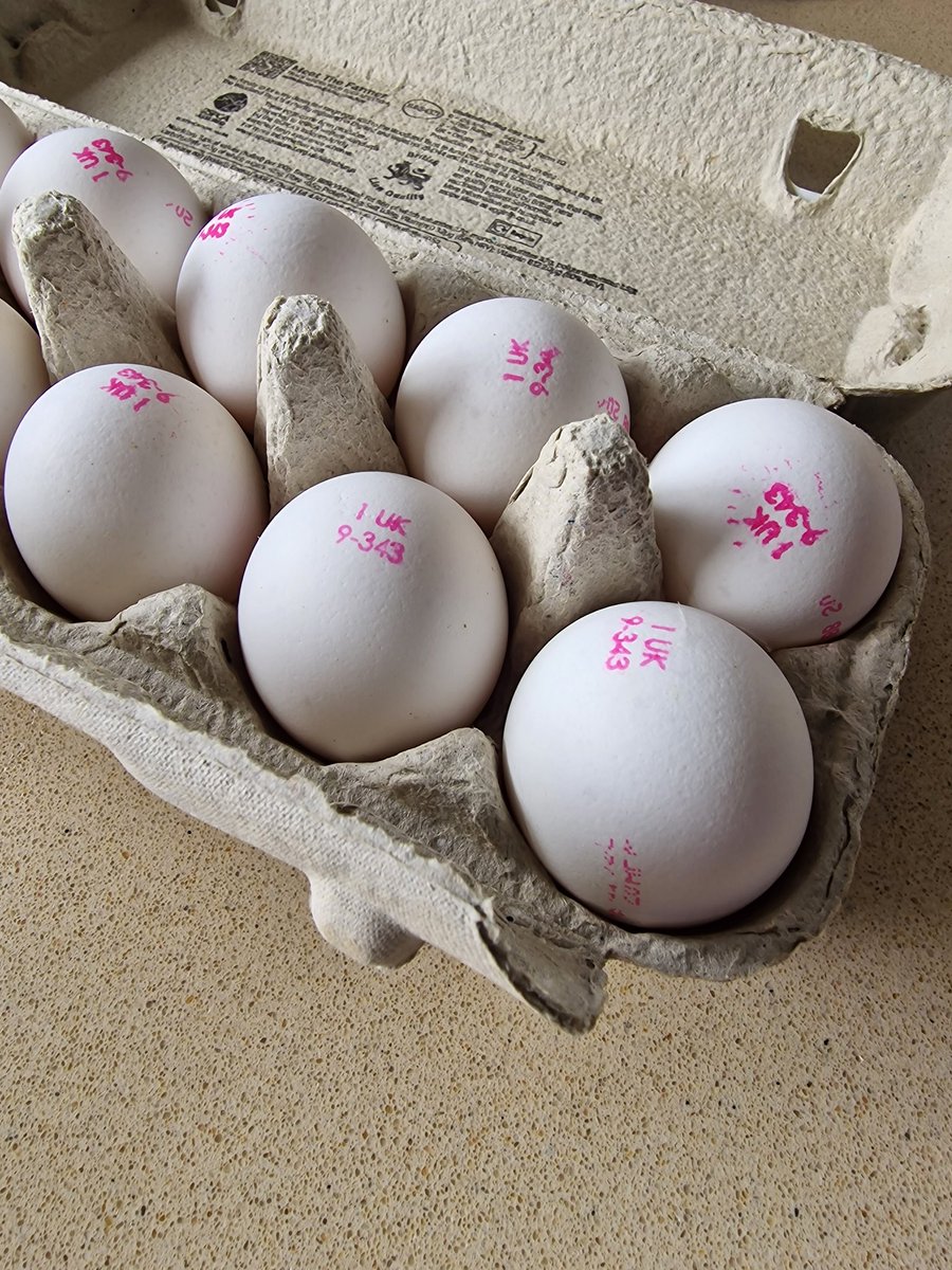 Rarely am I genuinely surprised, but today I opened a carton of supermarket eggs to find they had white shells 🤔 I don't think this has ever happened in my 28.5 years of household grocery buying 😅🤣