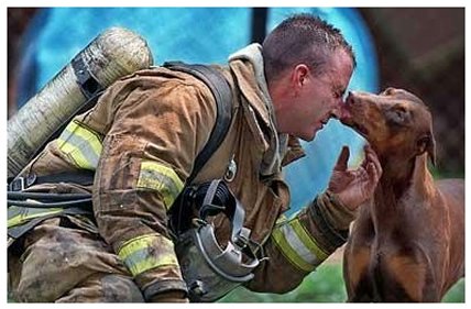 What better way to celebrate #NationalPetDay. Fireman Jeff Clark rescued a pregnant dog from a house fire in Charlotte, North Carolina. A newspaper photographer noticed the dog in the distance looking at the fireman. He watched as the dog walked towards the fireman and wondered…