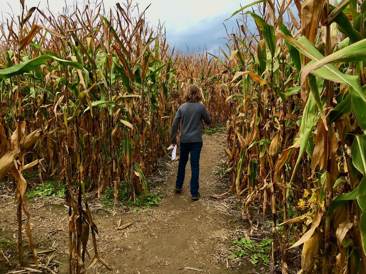There’s a great idea on the table, but it’s resource-intensive. Don’t worry—you can still get started. amandaleakaiser.com/blog/there-are… #ASAE #ElevatingEngagement