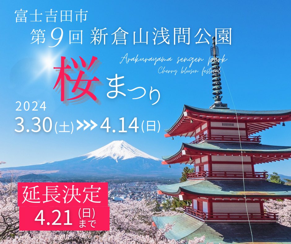 ✎ 𓂃お知らせ

#富士吉田市
　#新倉山浅間公園  桜まつり 
　　\\ 延 長 決 定 //
令和6年3月30日(土)〜4月21日(日) 

※公園内駐車場はご利用いただけません
　ご協力の程 宜しくお願い致します

イベント情報詳細を随時更新中
下記にてご確認下さい⮑
fujiyoshida.net/feature/sakura…