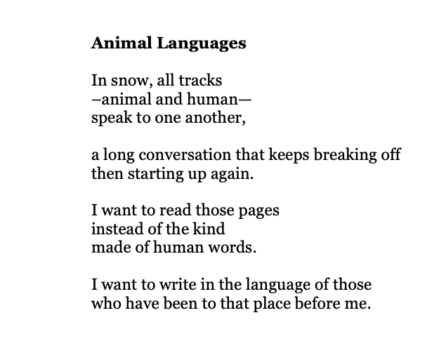 'I want to write in the language of those who have been to that place before me.' Chase Twichell: