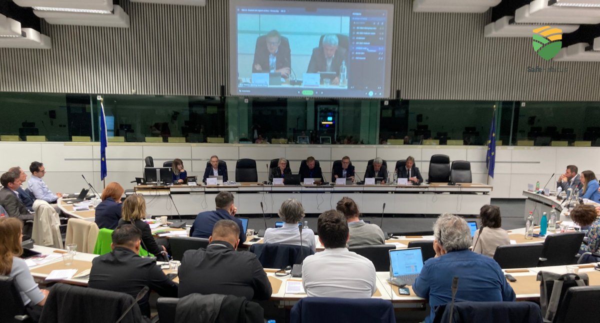 The #SafeHabitus Policy Seminar gathered key stakeholders to start a dialogue about meaningful policy proposals and good practices needed to address the challenges faced by seasonal and #migrant workers in the #agri sector. Read the event highlights ➡bit.ly/3UdLyHa