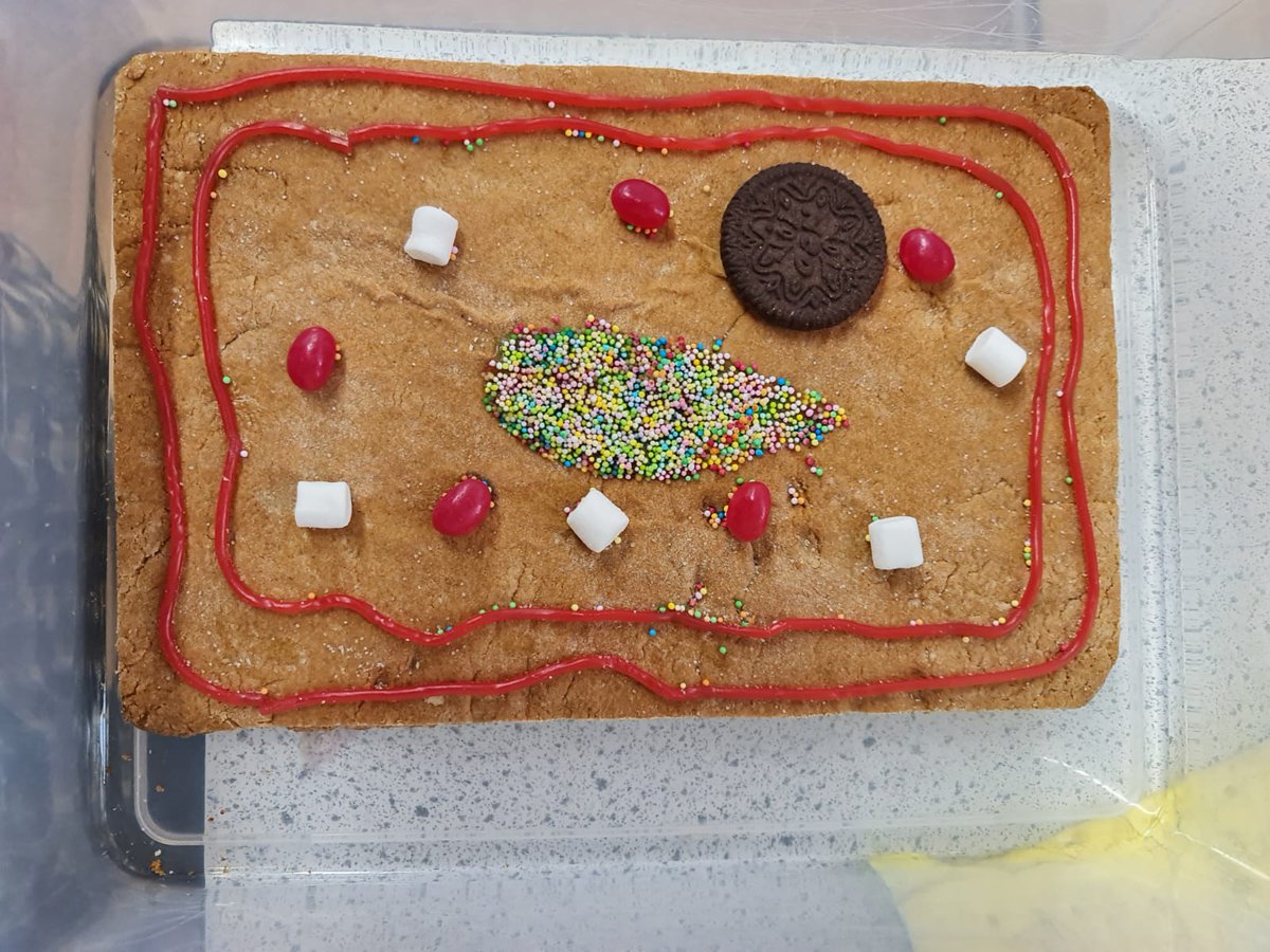 Elfed Science Department tweet media