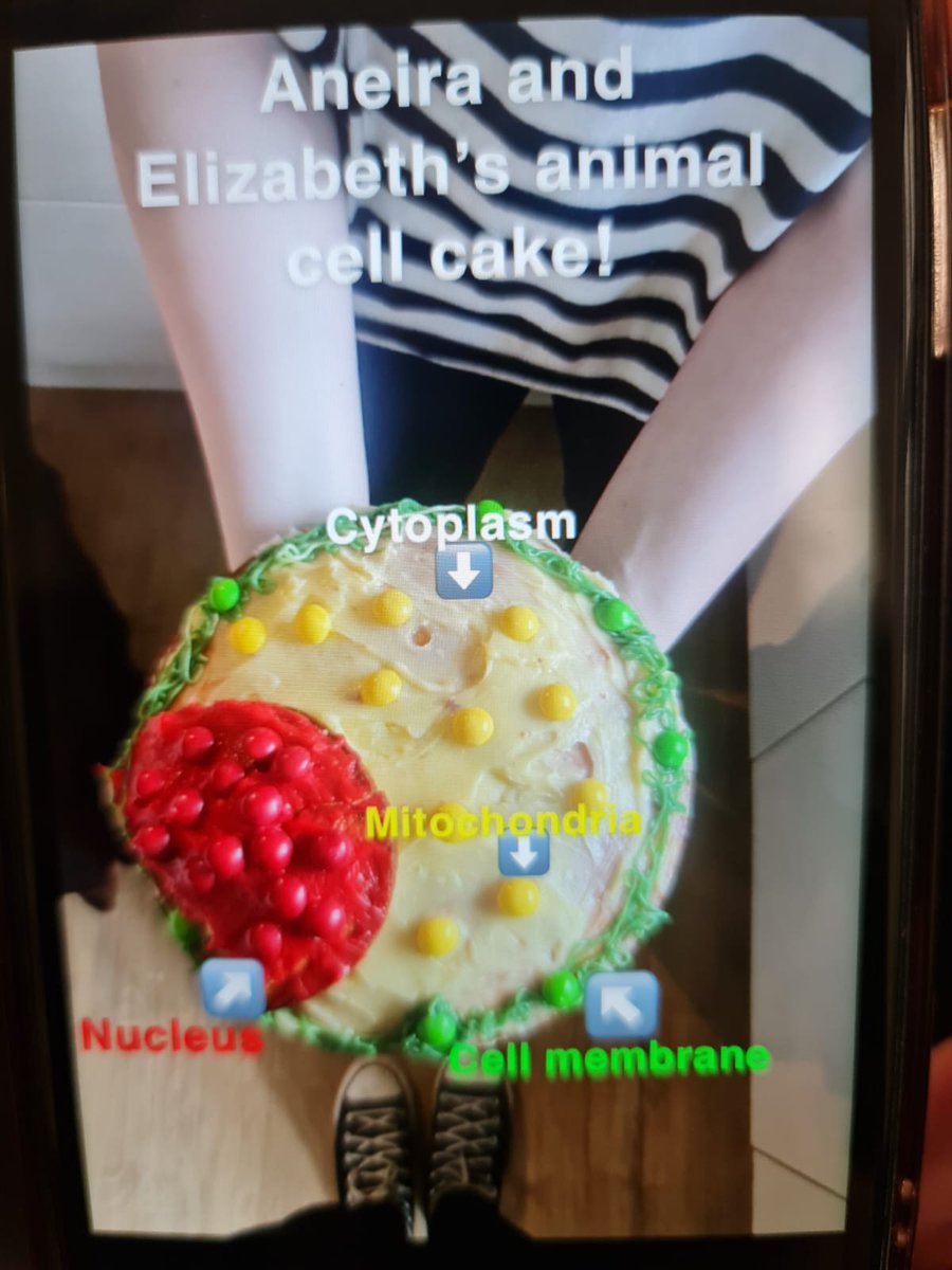 Elfed Science Department tweet media