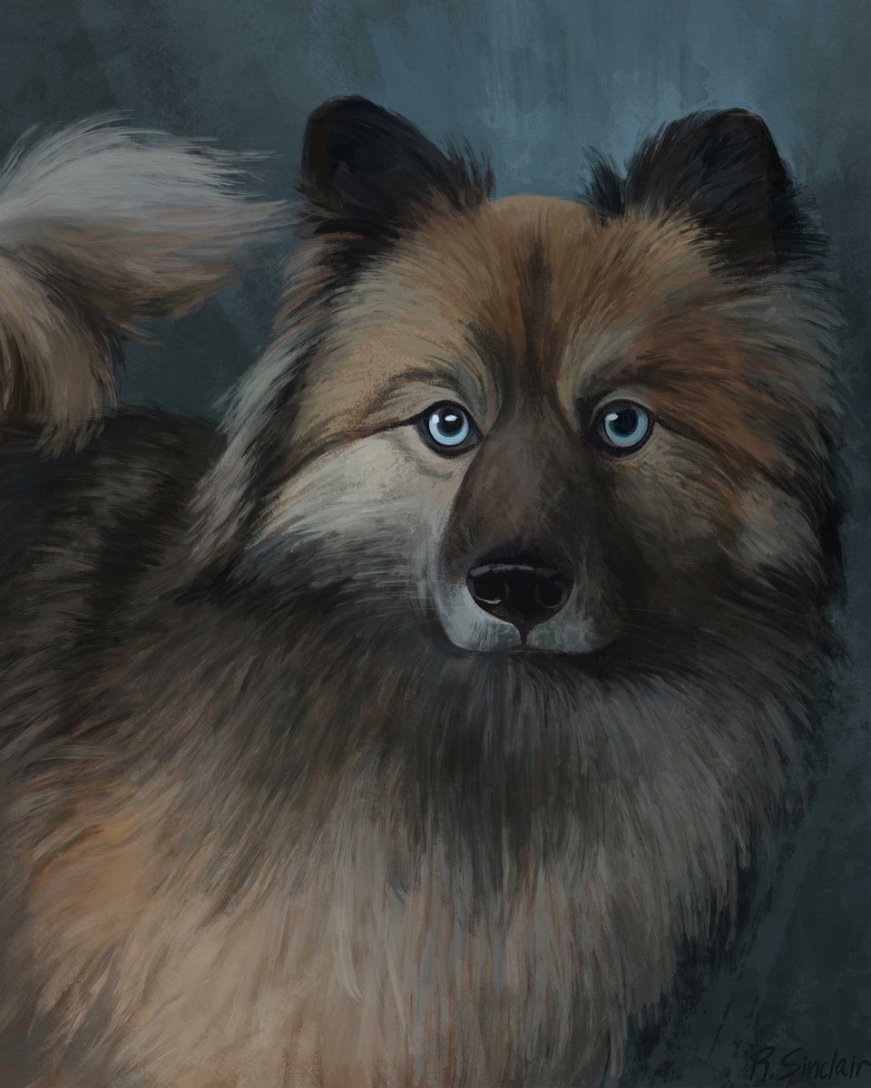 Rebecca Sinclair tweet media