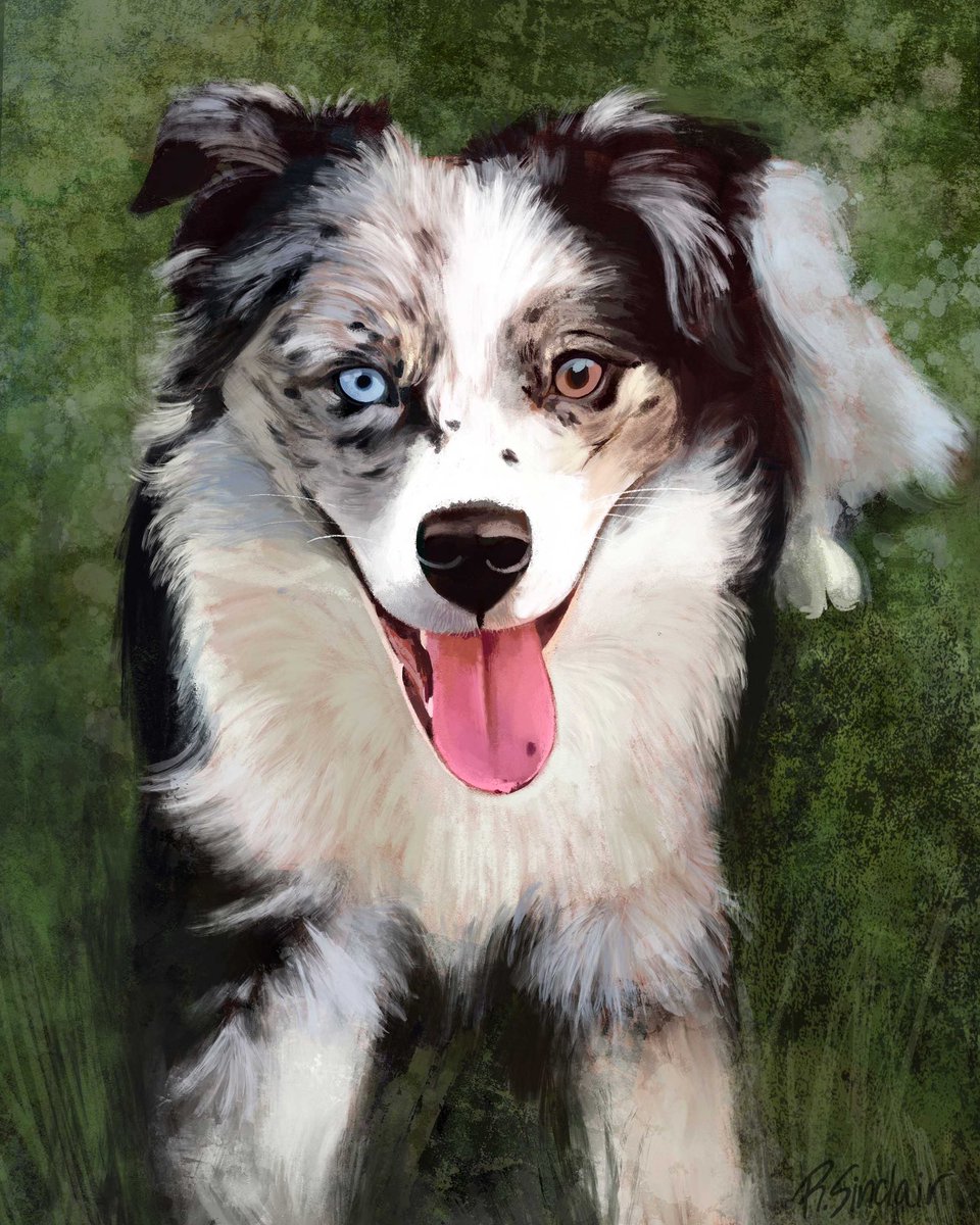 Rebecca Sinclair tweet media