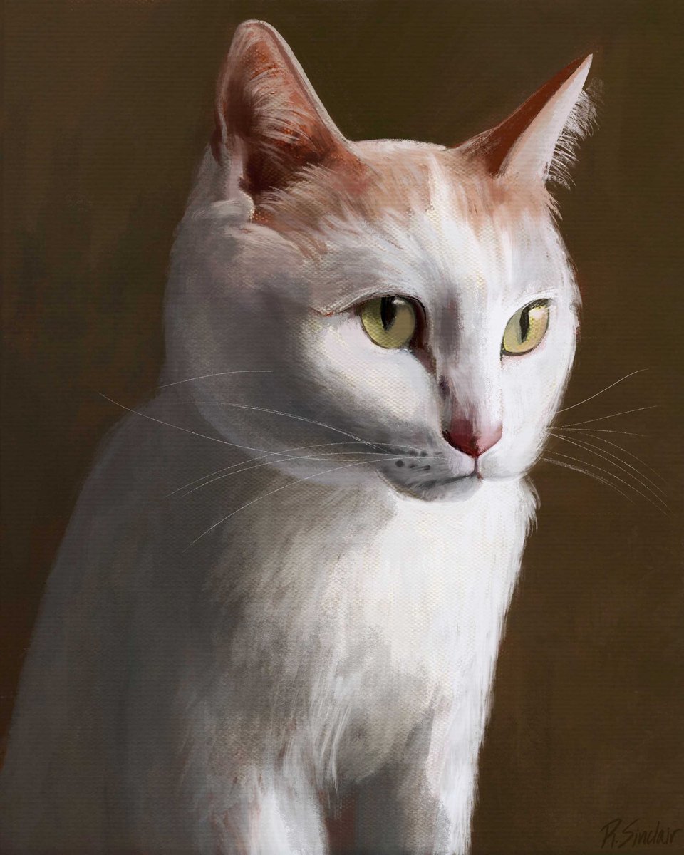 Rebecca Sinclair tweet media