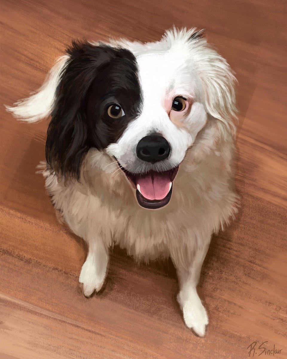 Rebecca Sinclair tweet media