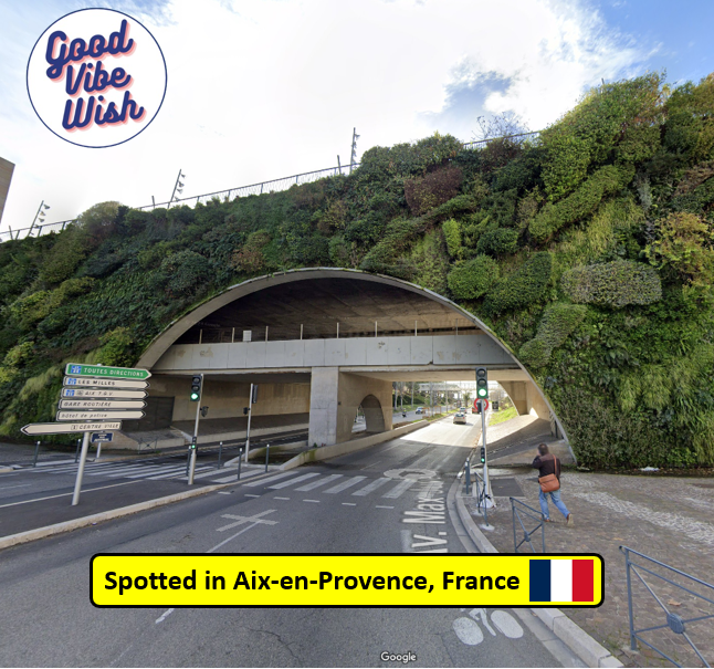 'May you get the raise that you deserve.'

Today's Streetview Good Vibe Wish goes out to the folks who are responsible for this awesome green arch in #aixenprovence #France - Well done, well done!

#GoodVibes #GoodVibesOnly #goodvibestribe #goodvibrations #goodvibesalways