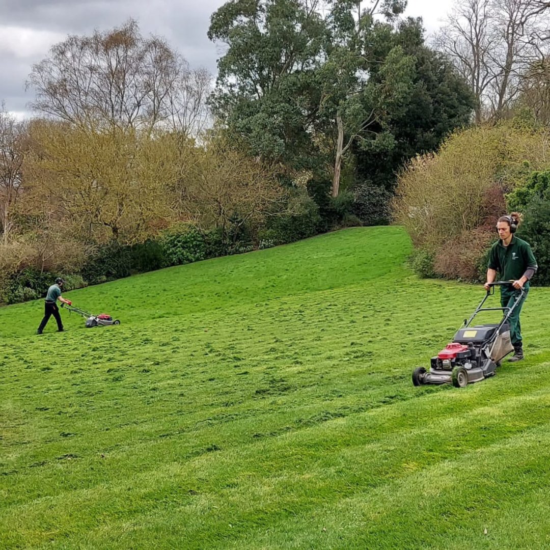 Two mowers, one beautifully trimmed hill! A huge thanks to our gardening apprentices Jamie and Alfie for their hard work in helping maintain the Hill Garden 🍃