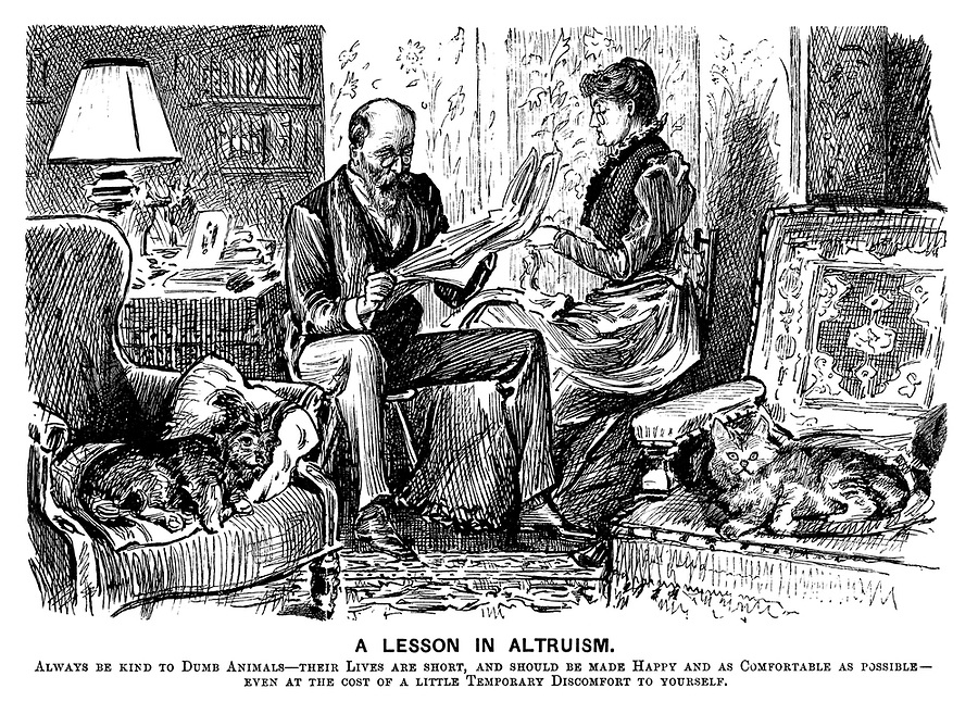 #NationalPetDay 'A LESSON IN ALTRUISM. Always be kind to dumb animals — their lives are short, & should be made happy & as comfortable as possible — even at the cost of a little temporary discomfort to yourself.' PUNCH Cartoon by George du Maurier 1893 #pets #animals #dogs #cats