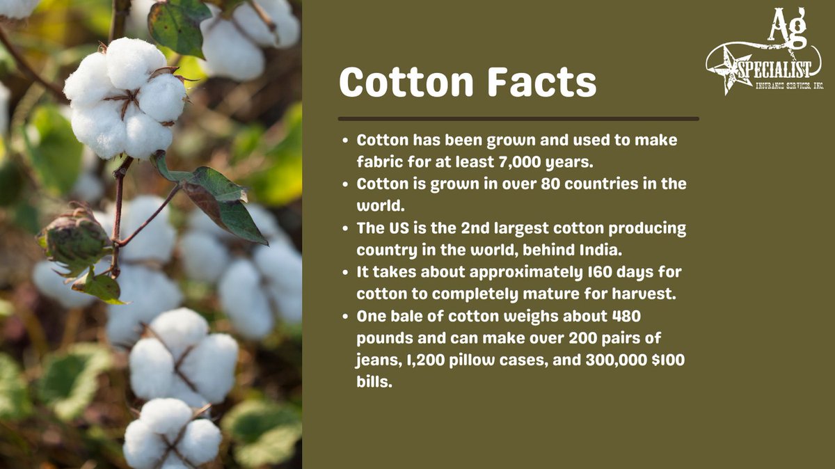 From the field to the gin, and then back to your home, #cotton is a major part of the US economy. It provides us with so many life essentials. To all you cotton farmers out there, thank you!! 

#agspecialistins #cropinsurance #farm365 #agriculture #farmlife #farmtotable