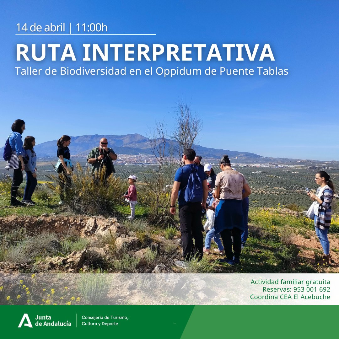 Explora el entorno ambiental del Enclave Arqueológico de @Puente_Tablas un espacio que ha preservado unas condiciones únicas al permanecer aislado de la actividad agrícola e industrial ➡️14 de abril a las 11:00h ➡️Taller familiar coordinado por @ceaelacebuche