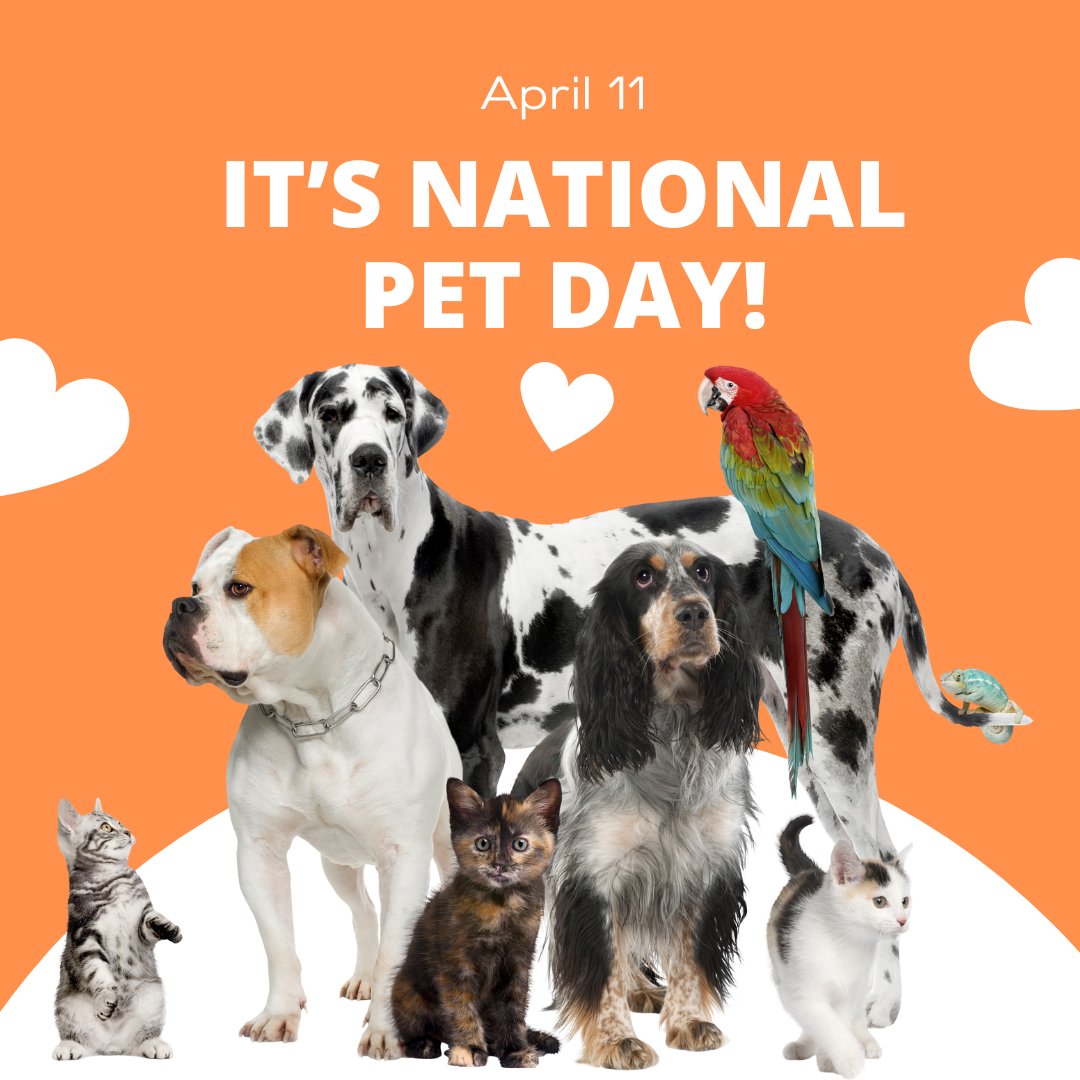 There’s nothing better than coming home after a long shift to a furry friend, and studies show that pets can improve our mental health 🐈🐶🐕‍🦺🐇 Happy #NationalPetDay to our faithful pets! 🦔🐹🐢🐟