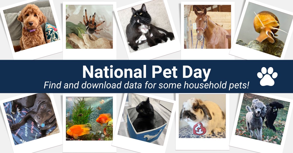 We love our pets! Share your #NationalPetDay pics & browse some data below: Dog: ow.ly/KUZ450R7Sm6 Cat: ow.ly/E4ls50R7SlX Horse: ow.ly/paqO50R7SlY Tarantula: ow.ly/CBb650R7Sm2 Apple snail: ow.ly/5JiN50R7Sm0 Aquarium fishes: ow.ly/XCyS50R7Sm3