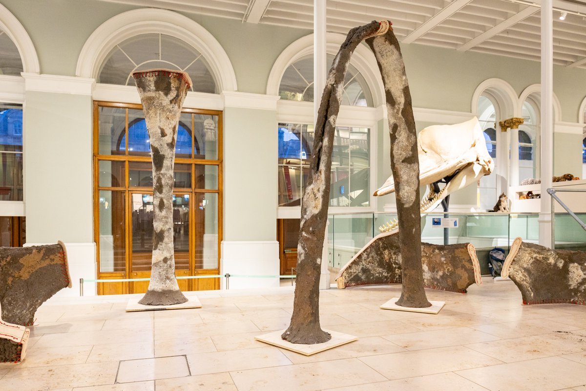 Hub for Biotechnology in the Built Environment tweet media