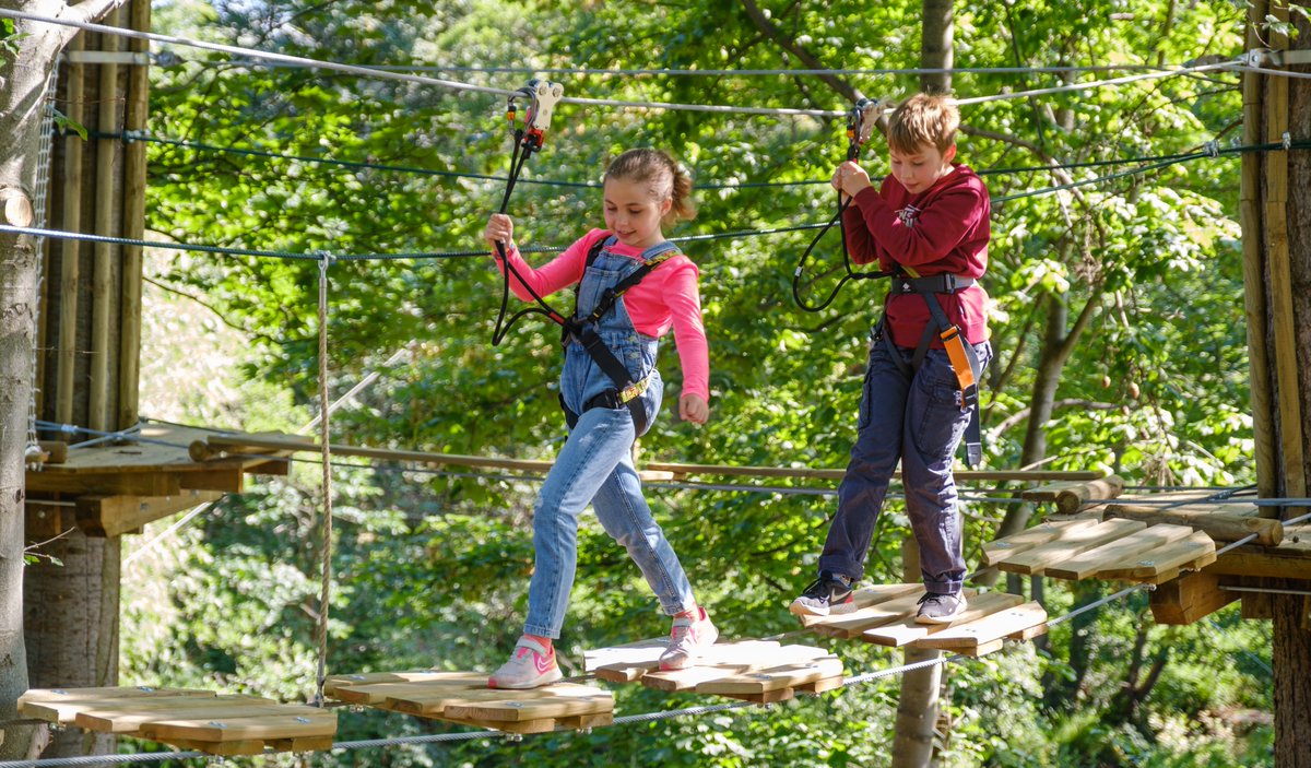 ***NEW OPENING*** @GoApeTribe is thrilled to announce the launch of its newest location in #SalceyForest - it’s the 37th Go Ape location in the UK, so get ready to experience an unforgettable forest adventure which is NOW OPEN! 👍 Find out more: destinationmiltonkeynes.co.uk/news/go-apes-n…