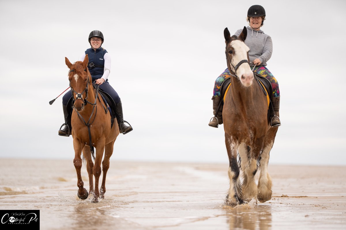 Great fun on a calm mild morning in Frinton today photographing these horses and their riders @DCamMag @SonyUK #essex #photo #horses