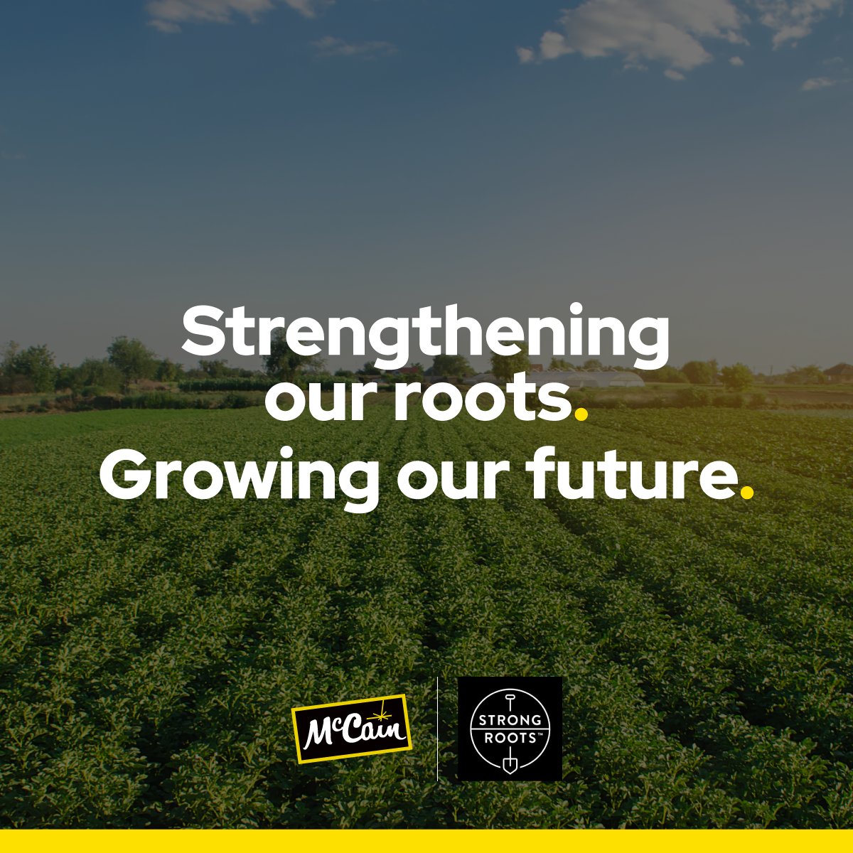 We're thrilled to share we have strengthened our partnership with @StrongRootsIRL - even more delicious, planet-friendly, vegetable-forward products coming to a freezer near you as we expand the brand globally. Read more: mccain.com/information-ce…