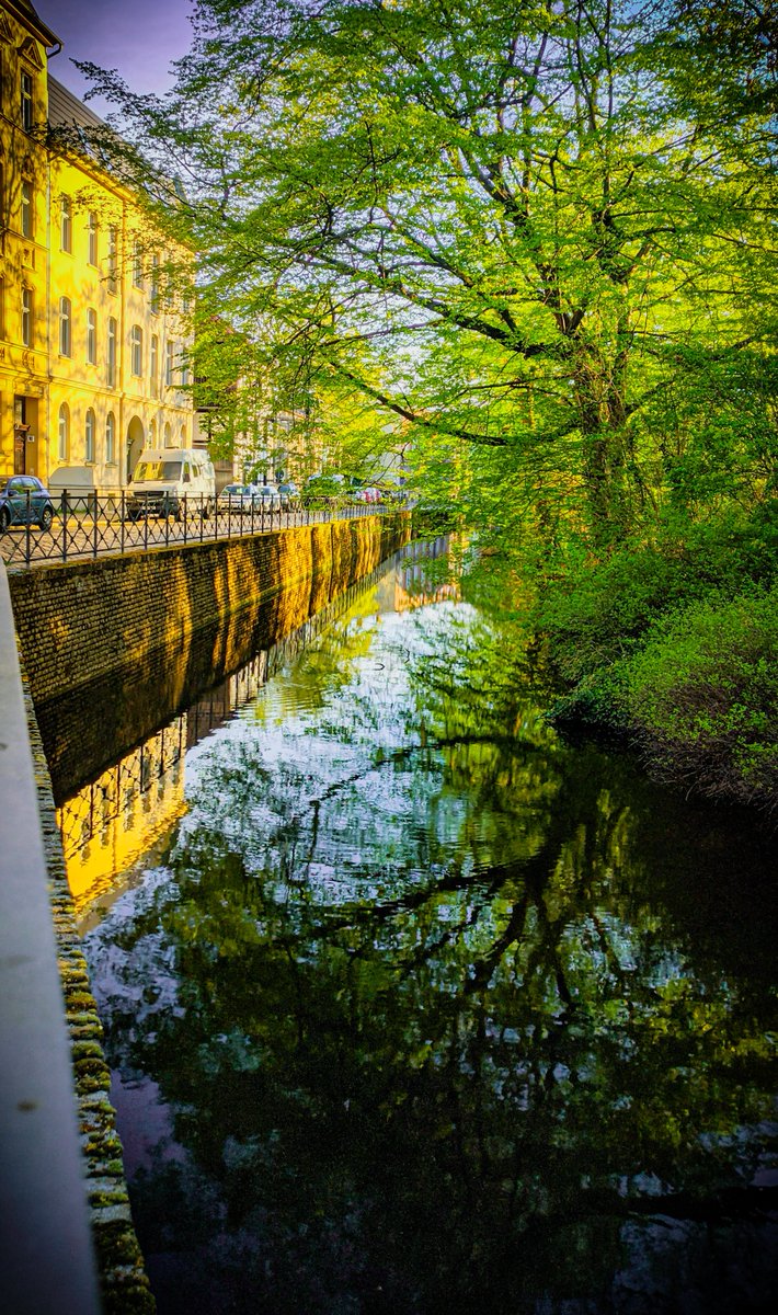 Green city channel 🌳 #green #city #urban #photography