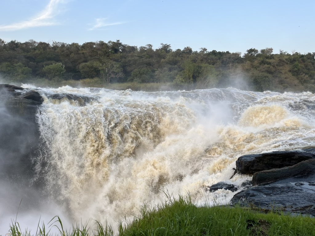 The powerful Murchison Falls, a captivating spot where the Nile River plunges.

Whether seen from a boat or a cliff, one can't help but admire the majestic cascade of white droplets amidst the mist, creating a thunderous sound that 

📸 Courtesy
Travel with #MangoSafaris Uganda