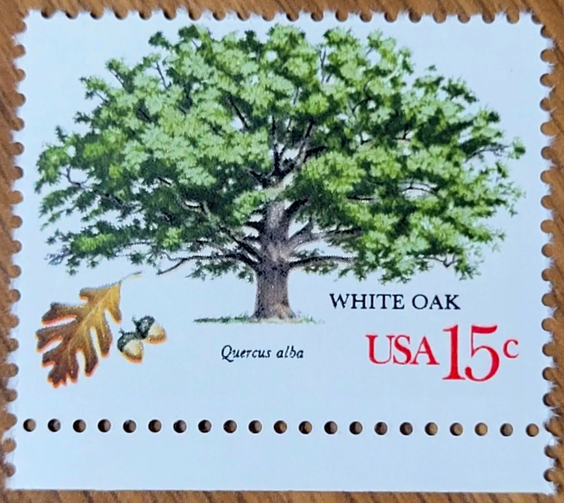 Good afternoon everyone, I hope you’re having Quite the day. It’s the letter Q 😭 today in the a-z of Trees in Stamps.
Here’s my choice, please share yours too.

Quercus

#stampcollecting #philately #stamps