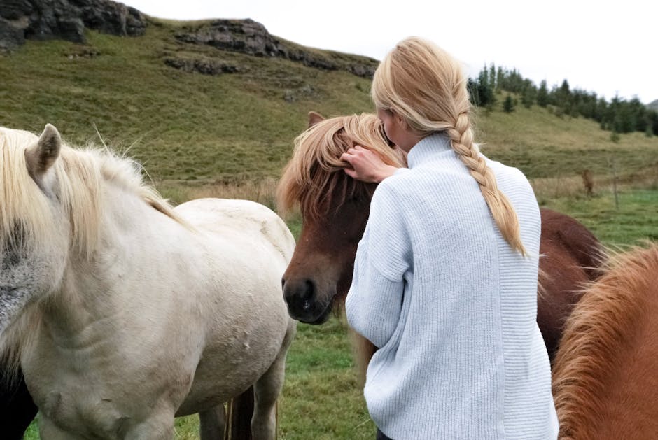 New study finds correlation between body condition index (BCI) and % body fat in obese ponies/horses. BCI could help prevent metabolic disorders like laminitis.  🐴 #EquineHealth #SRUCResearch #NationalPetDay
beva.onlinelibrary.wiley.com/doi/full/10.11….