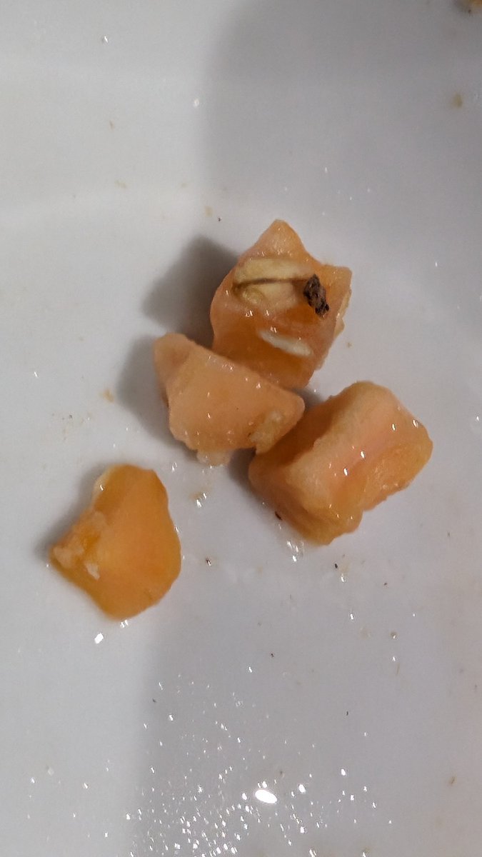 Si Pittam tweet media