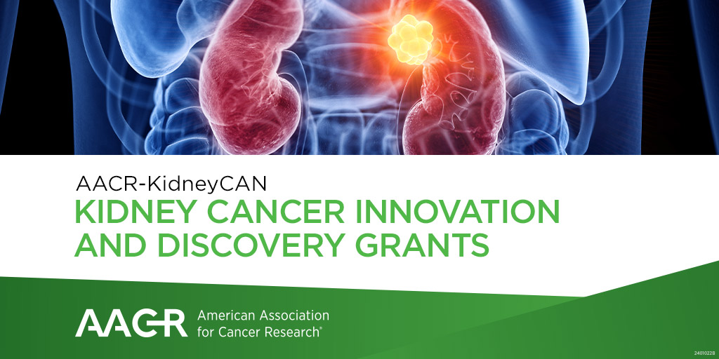 The AACR-KidneyCAN Kidney Cancer Innovation and Discovery Grants are one-year grants of $50,000 to stimulate creative approaches to translate basic research into new treatment options for kidney cancer. Apply by April 11. Learn more: bit.ly/3TSOmrJ