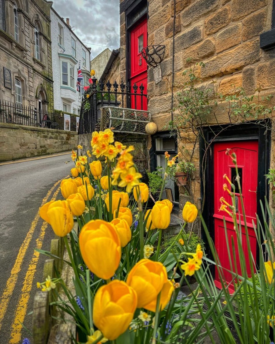 Staithes 🌼

📸 Hollie Rushton