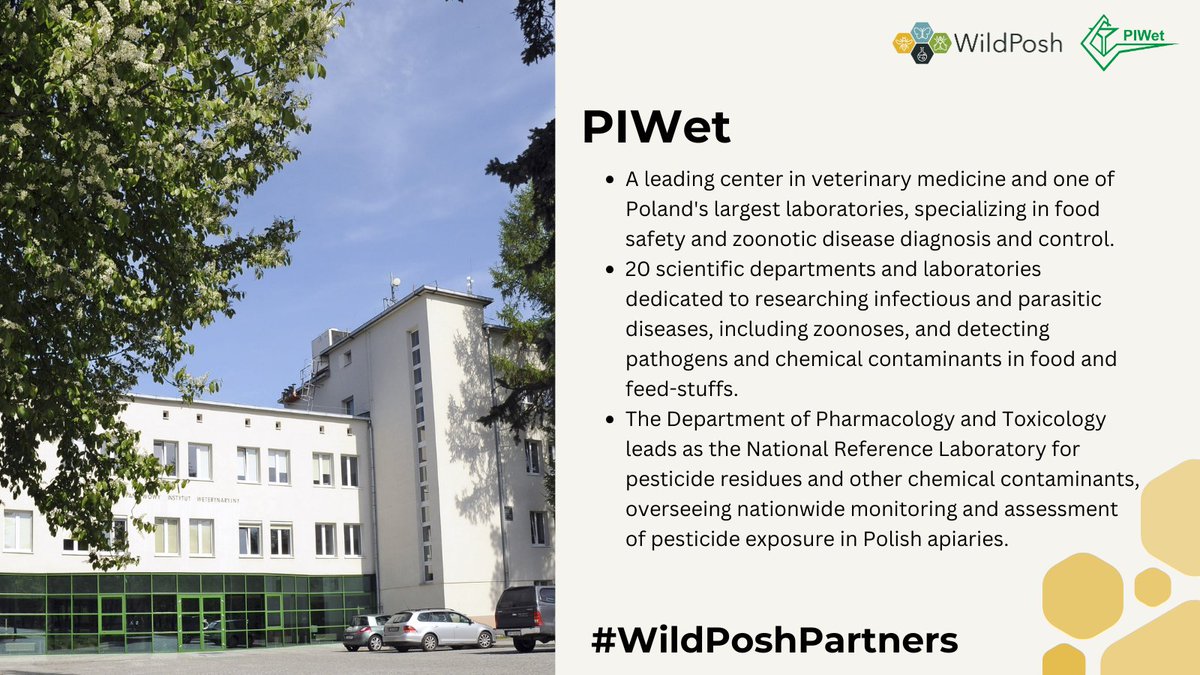 WildPosh tweet media