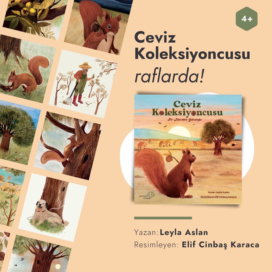 🐿 Uzak bir dağ köyu¨nde, bir ceviz ağacı, ceviz ağacının kovuğunda, bir sincap yaşarmış… 📗🎨 Ceviz Koleksiyoncusu'nu sipariş vermek için: dukkan.bugday.org/index.php?rout… #BuğdayDerneği #CevizKoleksiyoncusu #ParaşütKitap #LeylaAslan #SuluBoya #Masal #Çocuk #Kitap #Ceviz #Sincap