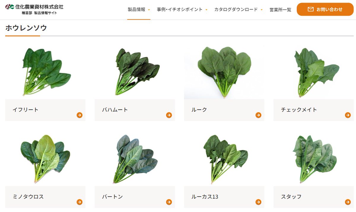 野菜の品種について色々調べてたけど、住化農業資材が出してるほうれん草の品種名が強そうすぎる。イフリートのおひたし作れるじゃん