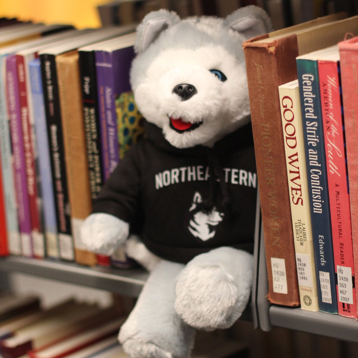 Don’t forget about the Hidden Husky Challenge! If you find a hidden husky around @Northeastern’s Boston campus (not Ruggles, even though he likes to hide in the book stacks) & post a photo of yourself with the hashtag #NUGivingDay, you could win $600 for your favorite program of.