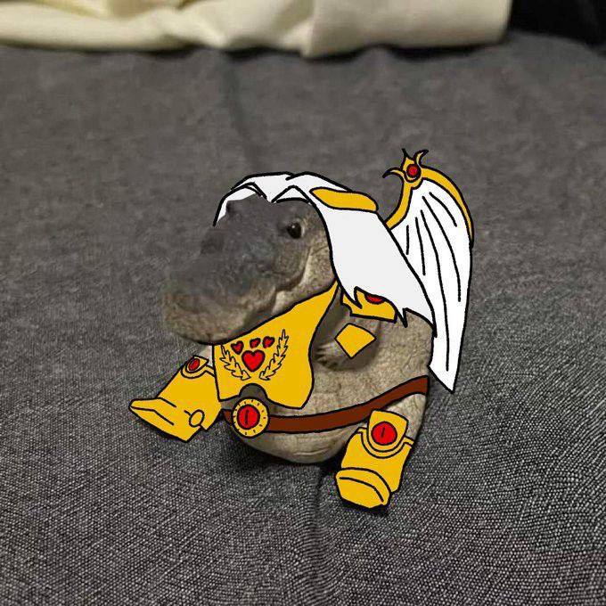 Javierpena21's tweet photo. @remigatorcoin https://t.co/I5cXvv7kT2