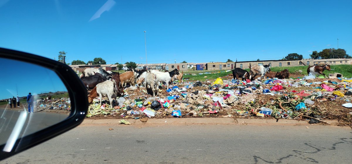 There is government treating citizens badly & then there is this rubbish happening in Sebokeng and many other communities around the country. This is an outcome of poor waste collection &management. It makes people sick and is a massive risk for children. It's not dignity.
