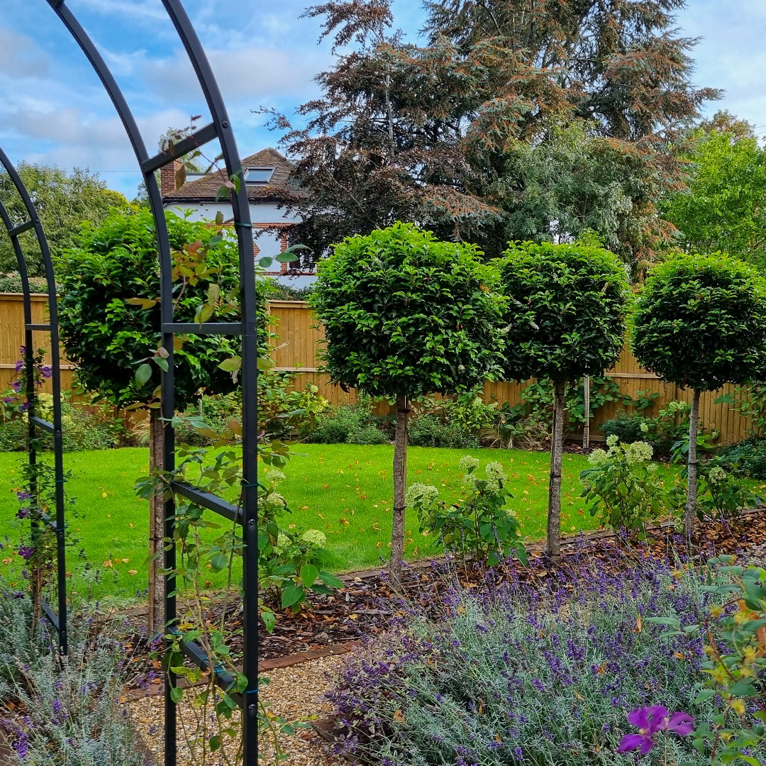 Featherboard fence panels are the backdrop to this beautifully landscaped garden, perfectly complementing the luxurious aesthetic of this traditional home and garden - jacksons-fencing.co.uk/fencing/fencin… Install by Landscape Artisan thank you for sharing - landscapeartisan.co.uk