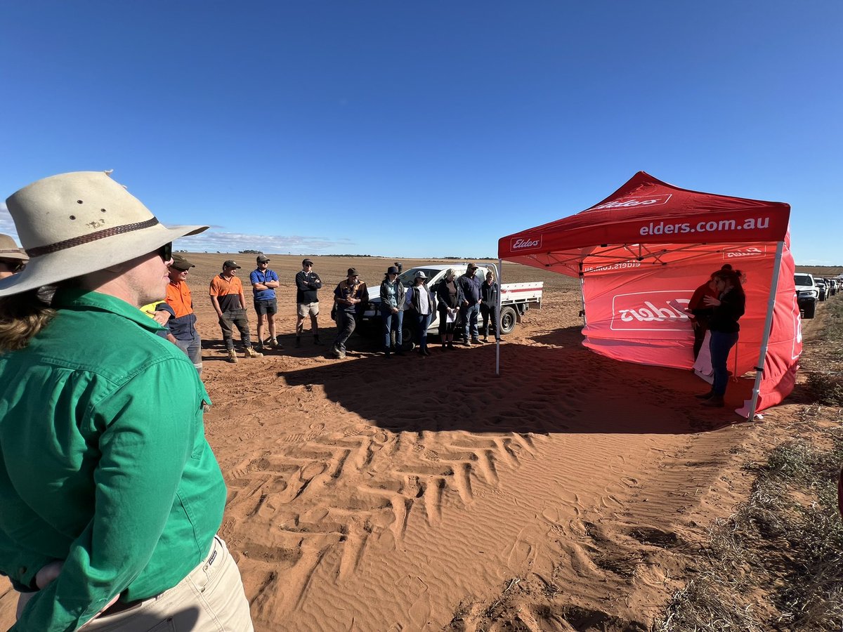 Breezy Hill Precision Ag Services (@breezyhillpas) on Twitter photo An awesome day at Wandearah at the Saline Soils Mega-Site showcasing the use of PA map technology to design a cut and fill automated design - moving 10cm of sand onto a saline flat after being applied with gypsum. 🌱
<a href="/UnfsNorth/">Upper North Farming Systems</a> <a href="/BethSleep/">Beth Humphris</a> <a href="/chriscrouch_/">Chris Crouch</a> An awesome day at Wandearah at the Saline Soils Mega-Site showcasing the use of PA map technology to design a cut and fill automated design - moving 10cm of sand onto a saline flat after being applied with gypsum. 🌱
<a href="/UnfsNorth/">Upper North Farming Systems</a> <a href="/BethSleep/">Beth Humphris</a> <a href="/chriscrouch_/">Chris Crouch</a>