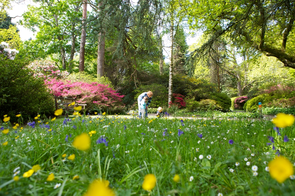 🌼Flowers are starting to bloom and the trees are slowly turning green. The perfect opportunity to get out and enjoy Swansea’s parks and green spaces as they come to life. Discover spring in Swansea! loom.ly/sbEOZu8