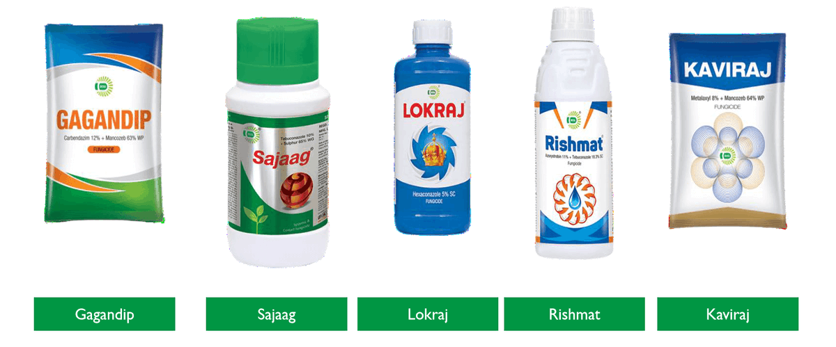 Do you know about a company which has planned to quadruple its revenues ...