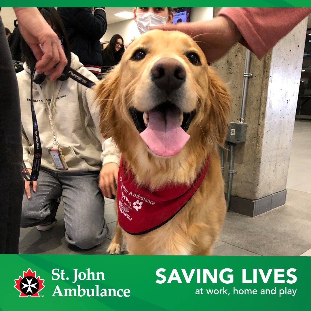 sja_mbntnu's tweet photo. Happy #NationalPetDay - we know you love your furry friend like family and so do we! Don't you think we could all use a bit of canine companionship?
Learn more at https://t.co/eWSvcRS94q
#sja #stjohnambulance #stjohn #tdp #therapydogs #therapydogprogram #therapydogvolunteer https://t.co/CWrRcUz0Z0